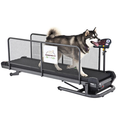 Veterinär-Laufband / für Hunde - Superior - Fit Fur Life Ltd