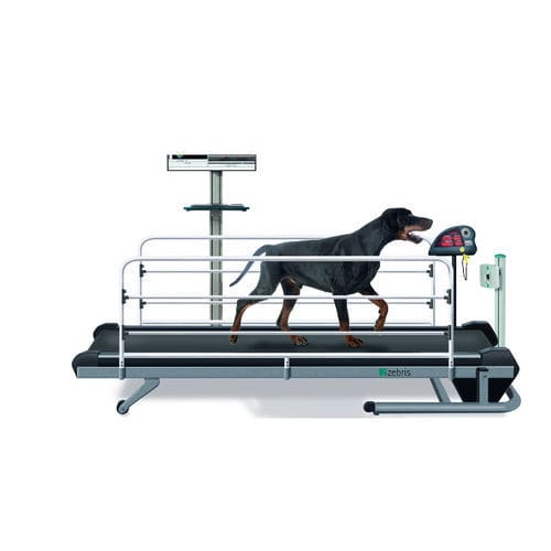 Veterinär-Laufband / für Hunde - CanidGait Fit Fur Life  - Fit Fur Life Ltd - mit verstellbarer Geschwindigkeit / mit verstellbaren Seitenbarrieren
