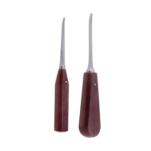 Gerades Dentalraspatorium - 900535003 - Orthomed - für Veterinärmedizin