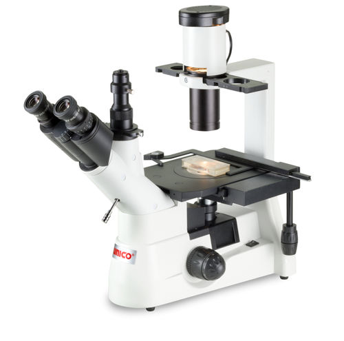 Optisches Mikroskop - IV95 series - Unico - Labor / Invers / binokular