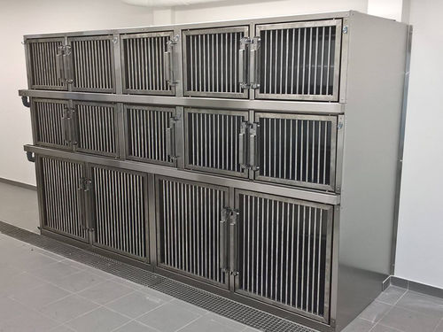Modularer Tierkäfig - Gtebel - auf Rollen / Edelstahl