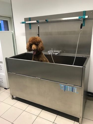 Bodenstehender Pflegebadewanne für Tiere - Gtebel