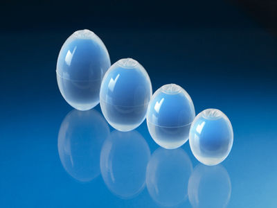 Hodenimplantat - KiWee® - Coloplast - anatomisch / Silikon / salingefüllt