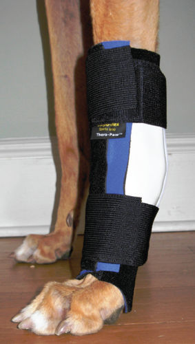 Veterinär-Schiene / für Carpaltunnel - J1004QL  - Jorgensen Laboratories
