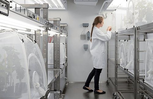 Klimakammer - Fitotron® SGR - Weiss Technik - Feuchte / Temperatur / Licht
