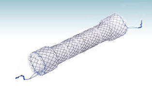Speiseröhren-Stent - HANAROSTENT®BS (CCC) - M.I Tech