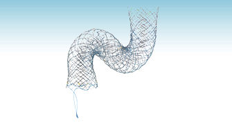 Zwölffingerdarm-Stent - HANAROSTENT® Dual Layer (NNN) - M.I Tech - Nitinol