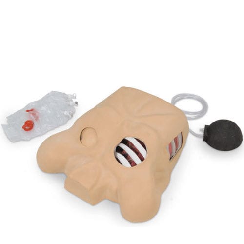 Patientensimulator für die Ausbildung - Life/form®  - Nasco - chirurgisch / Anatomie / Traumazustände
