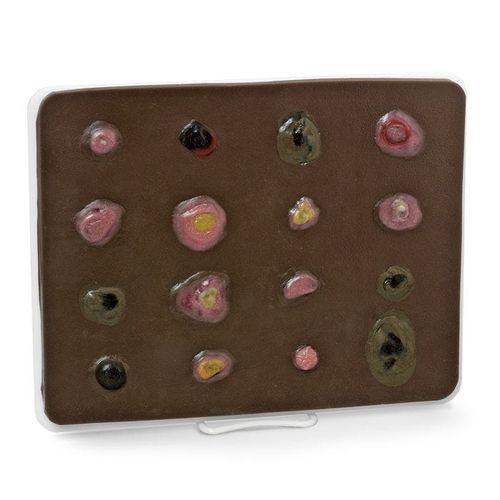 Anatomisches Modell / Haut - Life/form® - Nasco - Tumor