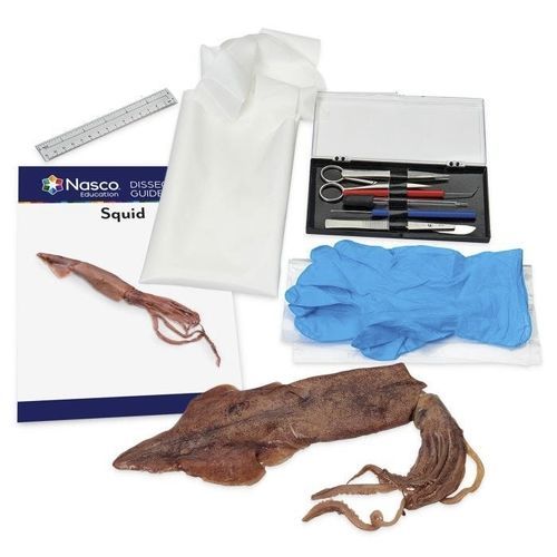Simulator zum Sezieren - NASCOGuard® - Nasco - Anatomie / Kit / Kunststoff