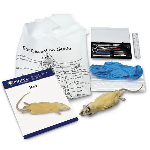 Simulator zum Sezieren - LS03848 - Nasco - Anatomie / für Allgemeinpflege / Kit