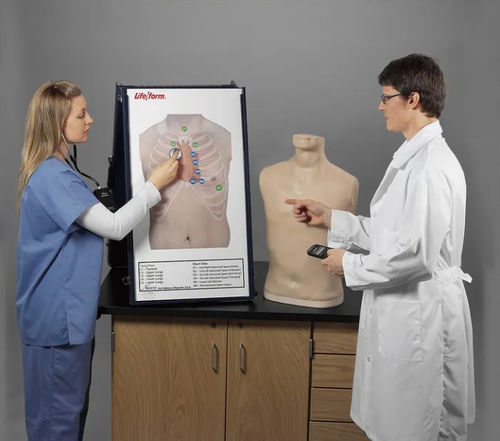 Simulator für Auskultation - Life/form®  - Nasco - Ausbildung / für die Gesundheitserziehung / Oberkörper