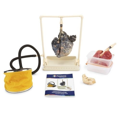 Simulator für Vorführzwecke - LS03768 - Nasco - Anatomie / Kit
