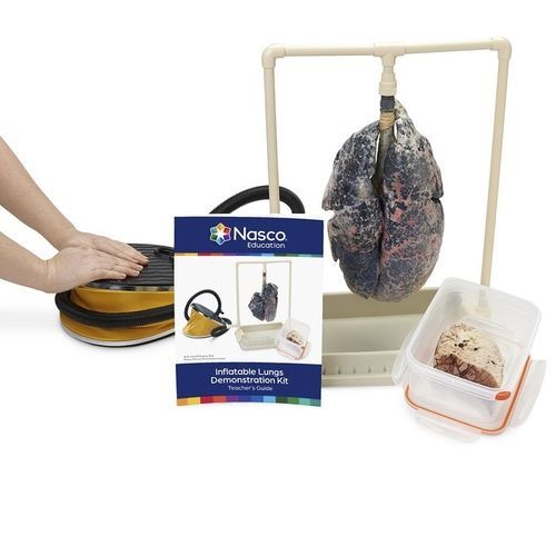 Simulator für Vorführzwecke - LS03767 - Nasco - Anatomie / Kit