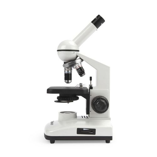 Optisches Mikroskop - SB41037 - Nasco - für die Ausbildung / Monokulares / Achromatisch