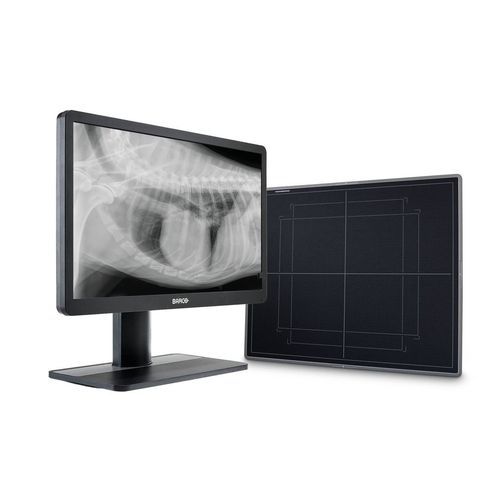 Erfassungssystem für Veterinärradiographie - ImageVue DR50 - Idexx Laboratories - tragbar