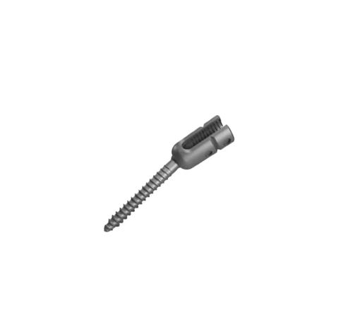Polyaxiale Pedikelschraube - Aysam Orthopaedics - Titan