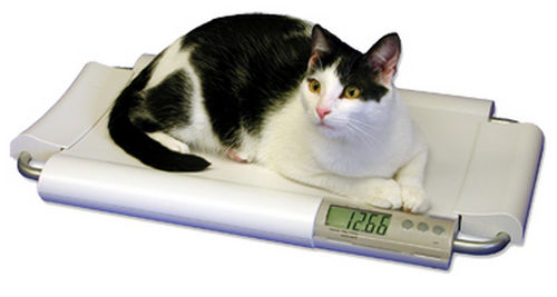 Elektronische Veterinärwaage - SRV930 - SR Instruments - für Kleintiere / Tisch