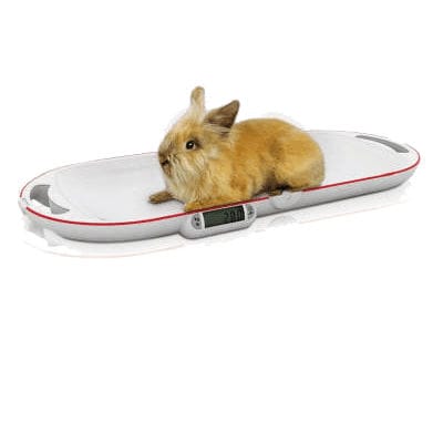 Elektronische Veterinärwaage - SP 8320 - Bosche GmbH & Co.KG - für Kleintiere / Taschen / kompakt