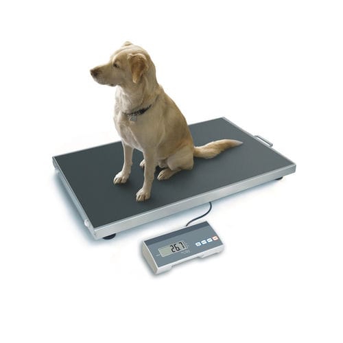 Elektronische Veterinärwaage - VWS 0505 - Bosche GmbH & Co.KG - für Kleintiere / Plattform / mit LCD-Display