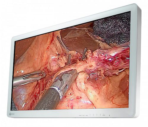 OP-Monitor - CuratOR® EX3220 - EIZO GmbH - medizinisch / für Endoskopie / Full HD
