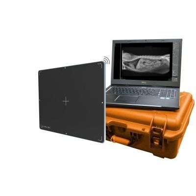 Flachbilddetektor für Veterinärradiographie - DR Wizard 2.0 - Diagnostic Imaging Systems - tragbar / kabellos / 14 x 17