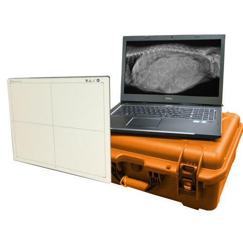 Flachbilddetektor für Veterinärradiographie - DR Wizard - Diagnostic Imaging Systems - tragbar / kabellos / 14 x 17