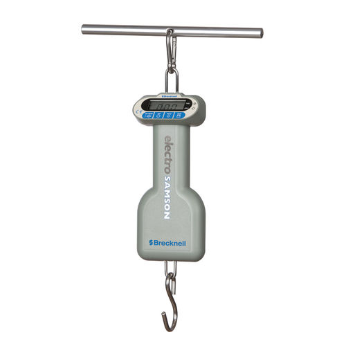 Elektronische Personenwaage - ElectroSamson - Brecknell - verankert / mit LCD-Display