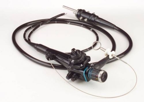 Veterinär-Gastroskop / Video - D-XS-20 - MDS - mit Arbeitskanal