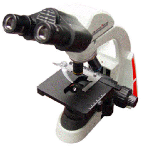 Optisches Mikroskop - Focus-V 1475 - Leading Edge - biologisch / für Veterinärlabor / aufrecht