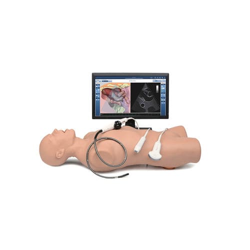 Patientensimulator für Echokardiographie - Vimedix - Elevate Healthcare - für kardiopulmonale Behandlung / Anatomie / COVID-19