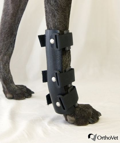Veterinär-Schiene / für Carpaltunnel - OrthoVet - für Hunde
