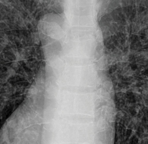 KI-Plattform / für medizinische Bildgebung - DEPAI™ - DRTECH - zur Bildverbesserung / Diagnose / webbasiert