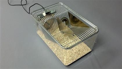 Tierkäfig mit Internetverbindung - Columbus Instruments - für Mäuse / modular / mit Laufrad