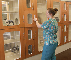 Tierkäfig für Katzen - Mason - modular / Edelstahl