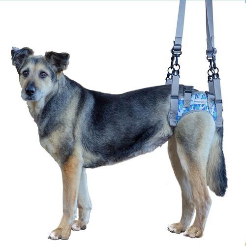 Tragegurt zum Gehen - Walkin’ Warrior Rear - Walkin' Pets - Bein / für Hunde