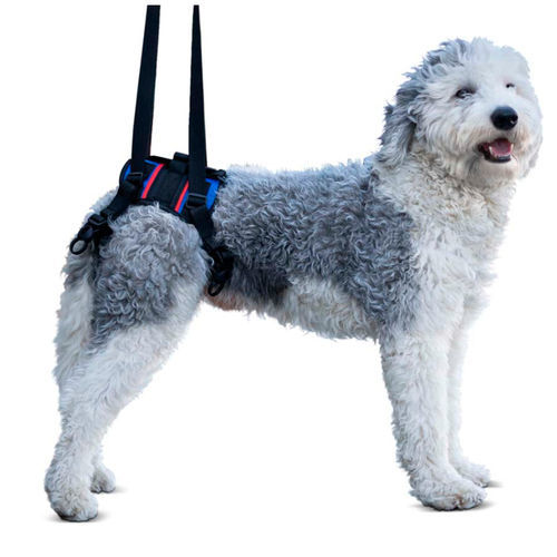 Tragegurt zum Gehen - Walkin’ Lift Combo - Walkin' Pets - Bein / für Hunde