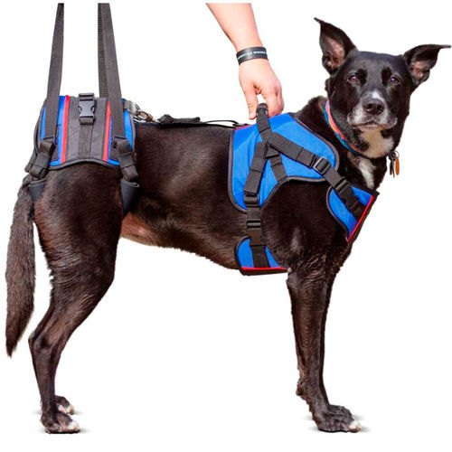 Tragegurt zum Gehen - Walkin’ Lift Combo – Front & Rear - Walkin' Pets - Bein / für Hunde