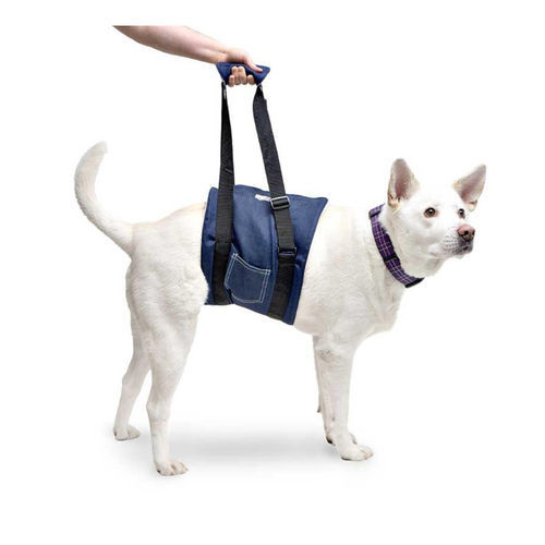 Tragegurt zum Gehen - Walkin’ Support - Walkin' Pets - Rehabilitation / Bein / für Hunde