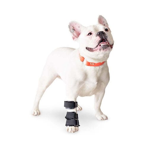 Veterinär-Schiene / für Pfote - Walkin' Pets - für Carpaltunnel / für Handgelenk