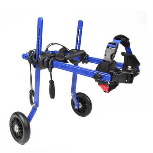 Rollstuhl für Tierarztpraxis / für Hunde - Walkin' Wheels® MINI  - Walkin' Pets