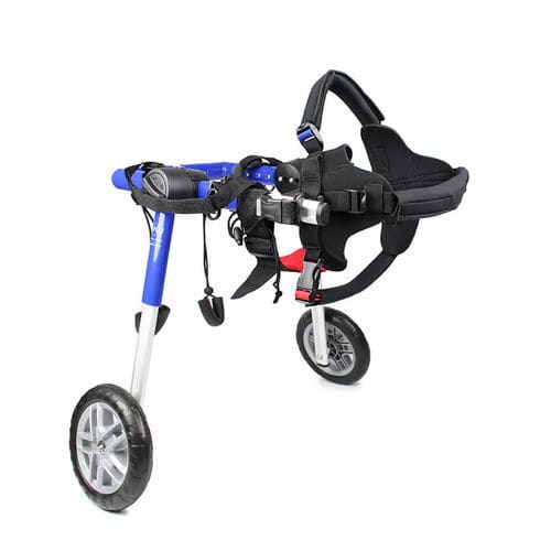 Rollstuhl für Tierarztpraxis / für Hunde - Walkin' Wheels® MEDIUM - Walkin' Pets