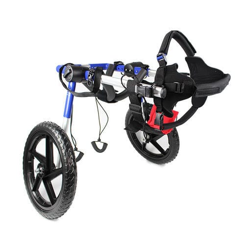 Rollstuhl für Tierarztpraxis / für Hunde - Walkin’ Wheels Med/Large - Walkin' Pets