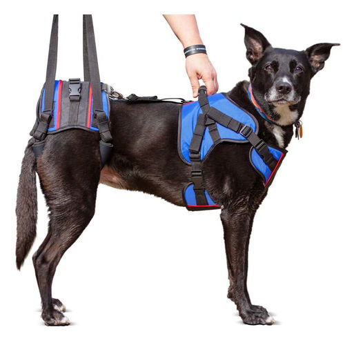 Tragegurt für Steh- und Aufrichthilfe - Walkin’ Lift Combo - Walkin' Pets - zum Gehen / Bein / für Hunde