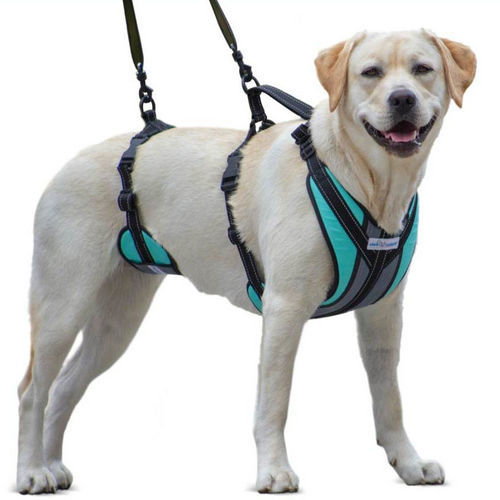 Tragegurt zum Gehen - Walkin’ Lift-n-Step - Walkin' Pets - für Hunde