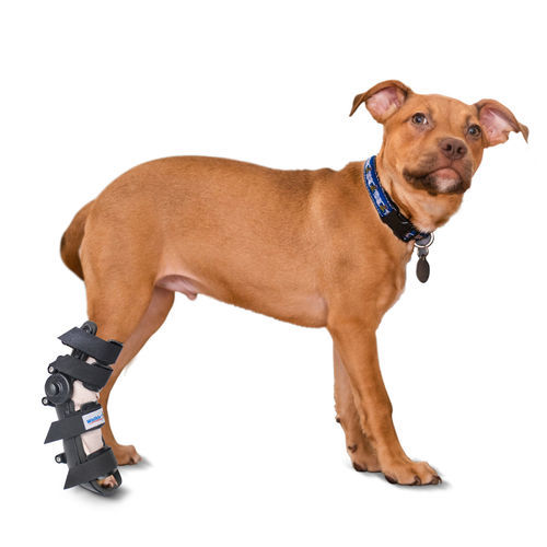 Veterinär-Schiene / für Pfote - Walkin’ Fit - Walkin' Pets - für Knöchel / für Sprunggelenk / für Handgelenk