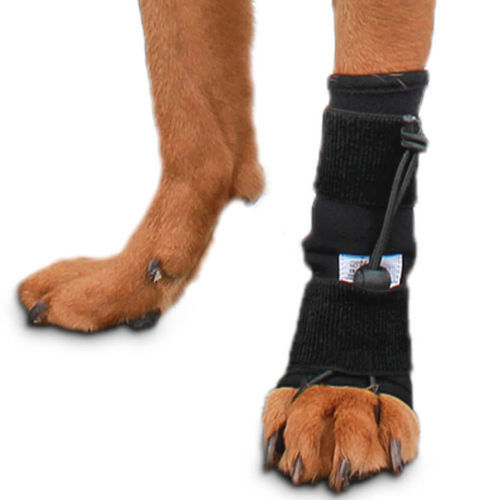 Veterinär-Schiene / für Pfote - Front No-Knuckling - Walkin' Pets - für Hunde