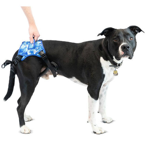 Rehabilitations-Tragegurt - Buddy Up™ - Walkin' Pets - Bein / für Hunde