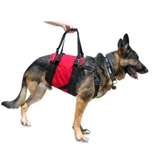 Tragegurt für Veterinärmedizin - Walkin' Pets - für Hunde