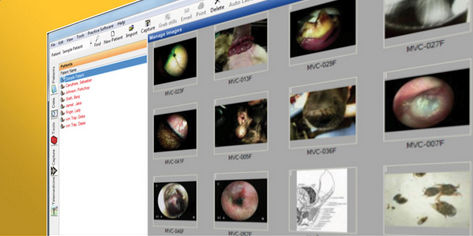 Visualisierungssoftware - VetScope - Otopet USA - Beschaffung / Archivierung / Content-Sharing
